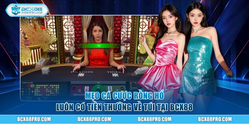 Rồng Hổ Trực Tuyến BCX88 | Hướng Dẫn Chơi Chi Tiết Từ A-Z 3 Mẹo cá cược rồng hổ luôn có tiền thưởng về túi