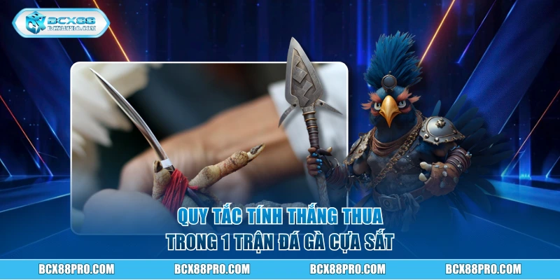 Đá Gà Cựa Sắt - Xem Hay Thắng Thưởng Lớn tại BCX88 2 Quy tắc tính thắng thua trong 1 trận đá gà cựa sắt