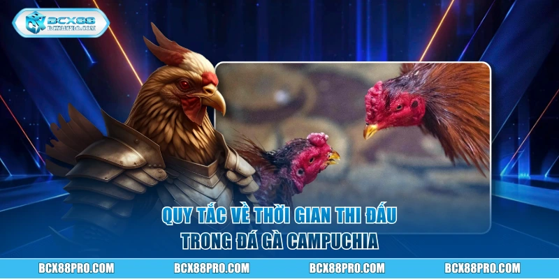 Đá Gà Campuchia Trải Nghiệm Sôi Động Như Ở Trường Gà Thật 2 Quy tắc về thời gian thi đấu trong đá gà Campuchia