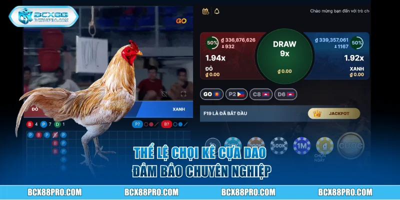 Đá Gà Cựa Dao BCX88 Và Thể Lệ Tổ Chức Chuyên Nghiệp 2 Thể lệ chọi kê cựa dao đảm bảo chuyên nghiệp