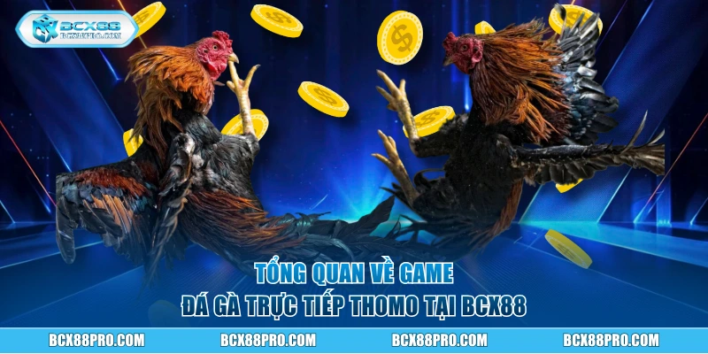 Đá Gà Trực Tiếp Thomo BCX88 Có Ngay Lãi Khủng 70 Triệu 1 Tổng quan về game đá gà trực tiếp Thomo BCX88