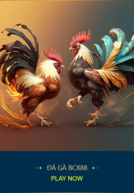 Trò chơi đá gà